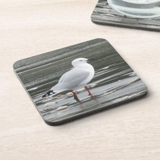 Zeemeeuw in water bier onderzetter (Linkerzijde)