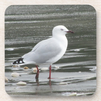 Zeemeeuw in water bier onderzetter