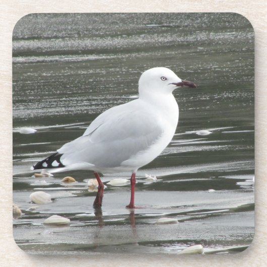 Zeemeeuw in water bier onderzetter (Voorkant)