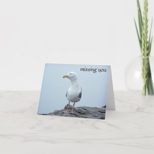 zeemeeuw kaart (Voorkant)