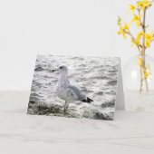 ZEEMEEUW-Kaart Kaart (Gele Bloem)