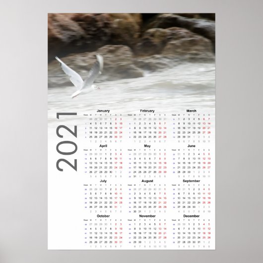 Zeemeeuw Kalender 2021 Poster - maandag eerst (Voorkant)