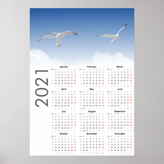 Zeemeeuw Kalender 2021 Poster - maandag eerst (Voorkant)