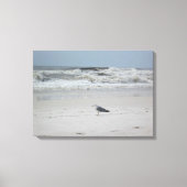 Zeemeeuw langs de oceaan op Canvas (Voorkant)
