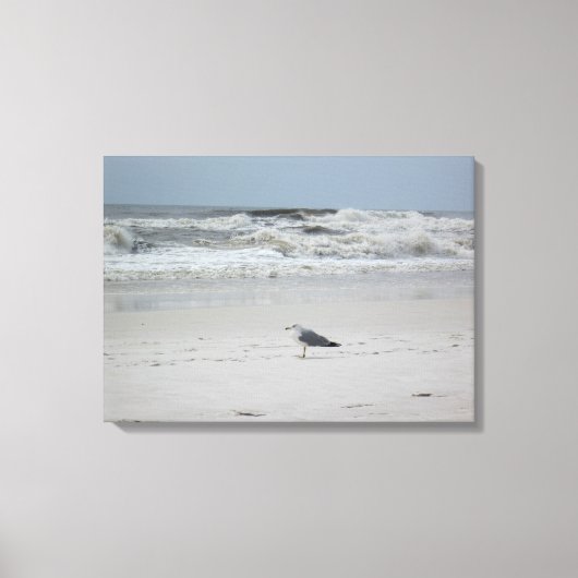 Zeemeeuw langs de oceaan op Canvas (Voorkant)