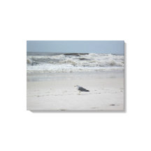 Zeemeeuw langs de oceaan op Canvas