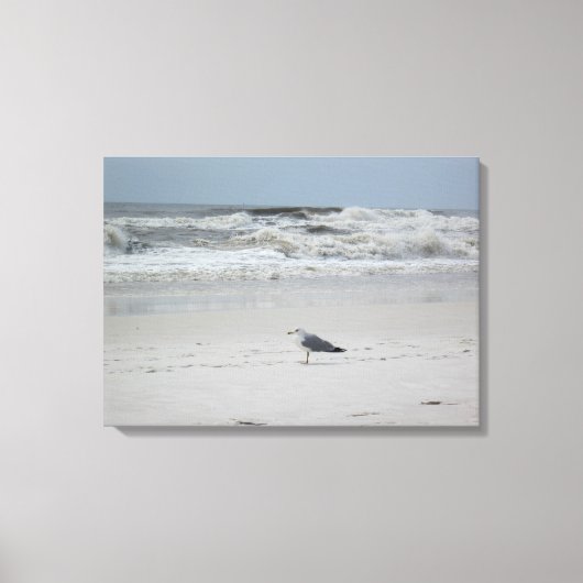 Zeemeeuw langs de oceaan op Canvas Afdruk (Voorkant)