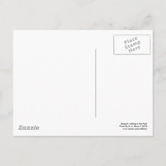 Zeemeeuw loopt in het Park Briefkaart (Achterkant)