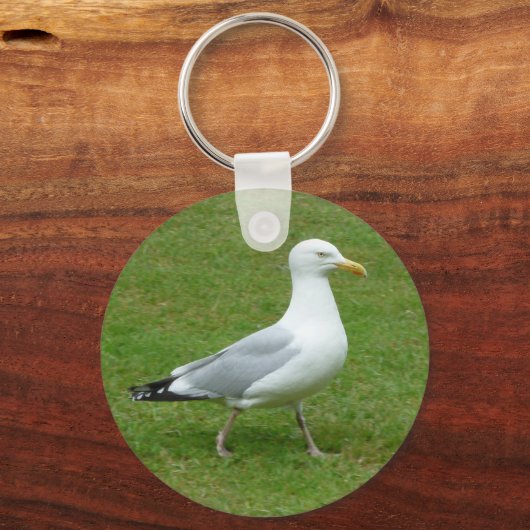 Zeemeeuw loopt in het Park Sleutelhanger (Voorkant)