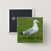Zeemeeuw loopt in het Park Vierkante Button 5,1 Cm (Voorkant /achterkant)
