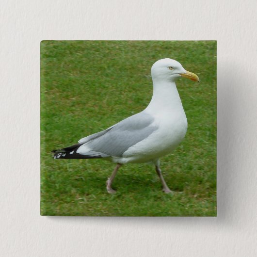 Zeemeeuw loopt in het Park Vierkante Button 5,1 Cm (Voorkant)