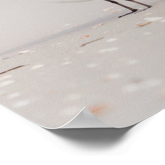 Zeemeeuw met blauw Zee en zeeschelpen Poster (Hoek)