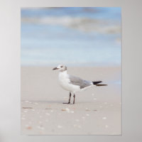 Zeemeeuw met blauw Zee en zeeschelpen