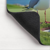 Zeemeeuw met een golfbal muismat (Hoek)