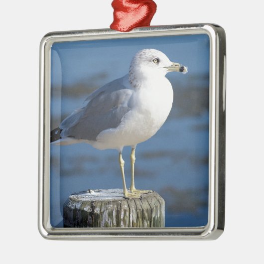 zeemeeuw metalen ornament (Links)