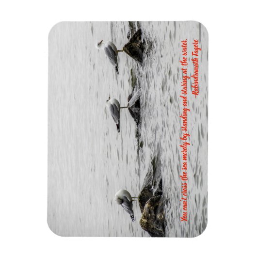 Zeemeeuw Motivatie magneet (Verticaal)