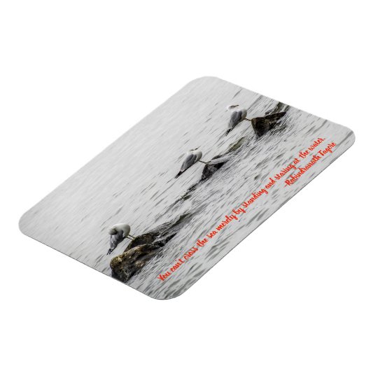 Zeemeeuw Motivatie magneet (Linkerzijde)