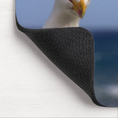 zeemeeuw muismat (Hoek)