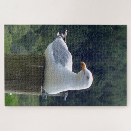 zeemeeuw neerleggen legpuzzel (Horizontaal)