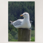 zeemeeuw neerleggen legpuzzel (Verticaal)