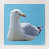 zeemeeuw neerleggen legpuzzel (Verticaal)