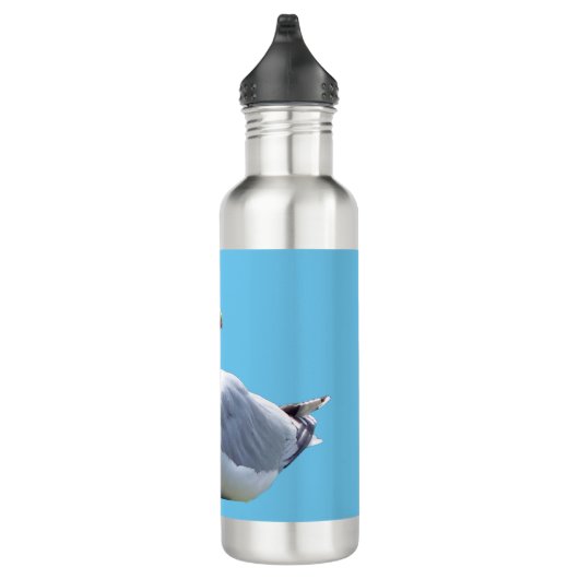 zeemeeuw neerleggen waterfles  (Rechts)