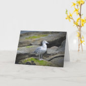 Zeemeeuw Notecard Kaart (Gele Bloem)