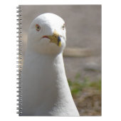 zeemeeuw notitieboek (Voorkant)