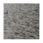 Zeemeeuw op Cocoa Beach Tegeltje (Voorkant)