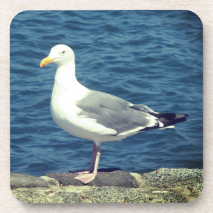 Zeemeeuw op de baai bier onderzetter