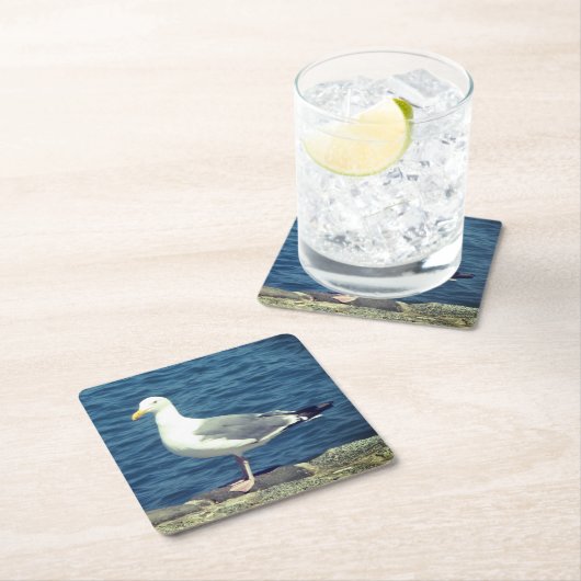 Zeemeeuw op de baai kartonnen onderzetters (Insitu)