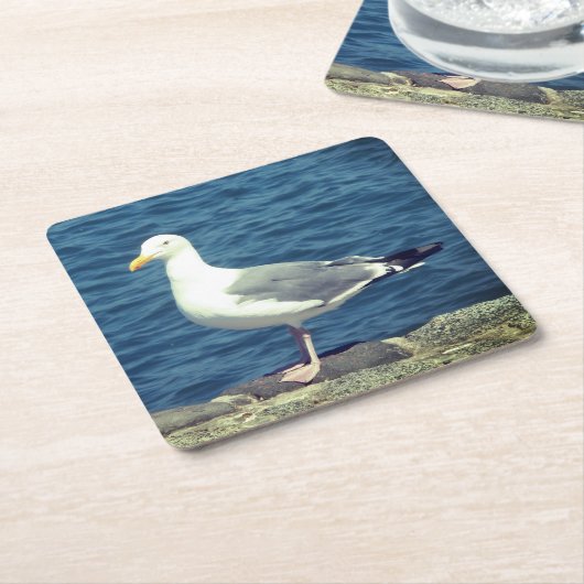 Zeemeeuw op de baai kartonnen onderzetters (Schuin)