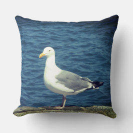 Zeemeeuw op de baai kussen