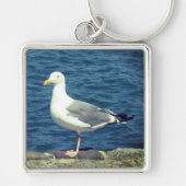 Zeemeeuw op de baai sleutelhanger (Voorkant)