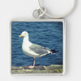 Zeemeeuw op de baai sleutelhanger