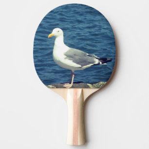 Zeemeeuw op de baai tafeltennisbatje