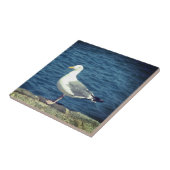 Zeemeeuw op de baai tegeltje (Zijkant)