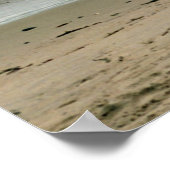 Zeemeeuw op de strand Shore Poster (Hoek)