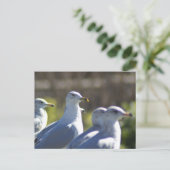 Zeemeeuw op een spoor briefkaart (Staand voorkant)