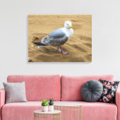 Zeemeeuw op een zandstrand canvas print (Insitu (Woonkamer))