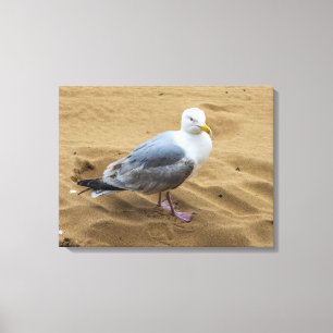 Zeemeeuw op een zandstrand canvas print