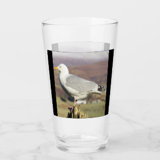 Zeemeeuw op hekpaal glas