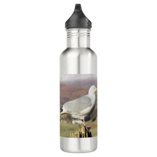 Zeemeeuw op hekpaal waterfles  (Rechts)