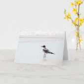 Zeemeeuw op het Lege Wenskaart van het Strand Kaart (Gele Bloem)