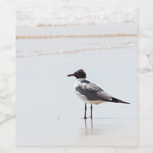 Zeemeeuw op het strand Classic Wijn Etiket (Enkel label)