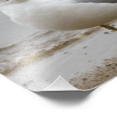 Zeemeeuw op het strand Fotoprint 8x10 Foto Afdruk (Hoek)