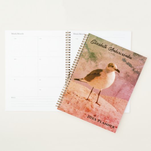 Zeemeeuw op het strand Jaarlijkse Planner (Display)