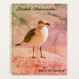Zeemeeuw op het strand Jaarlijkse Planner