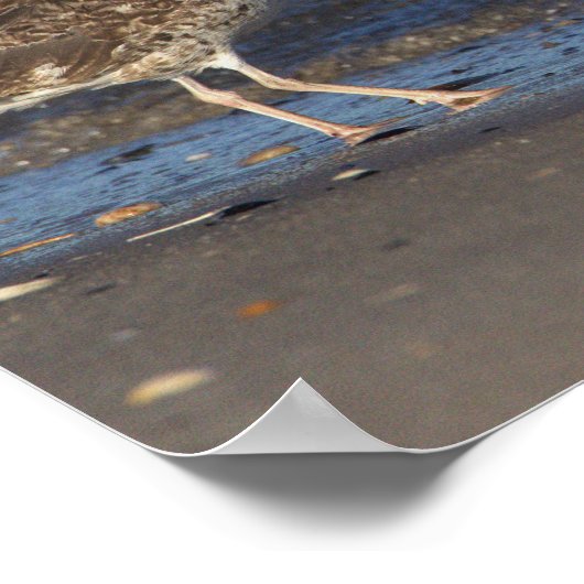 Zeemeeuw op het strand met Wave Poster (Hoek)