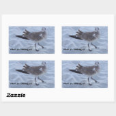 Zeemeeuw op het strand Stickers (Vel)